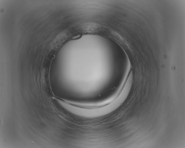 X0000072990217200608211524