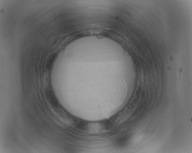 X0000072990218200608211524