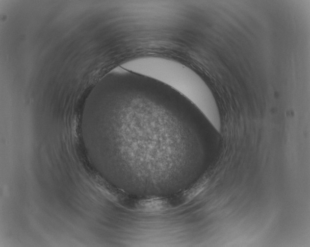 X0000072990219200608211524