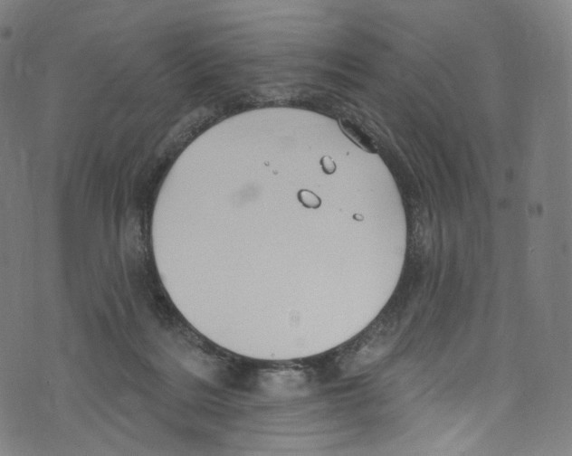 X0000072990220200608211524