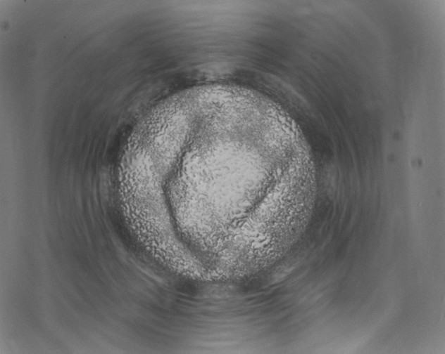 X0000072990222200608211524