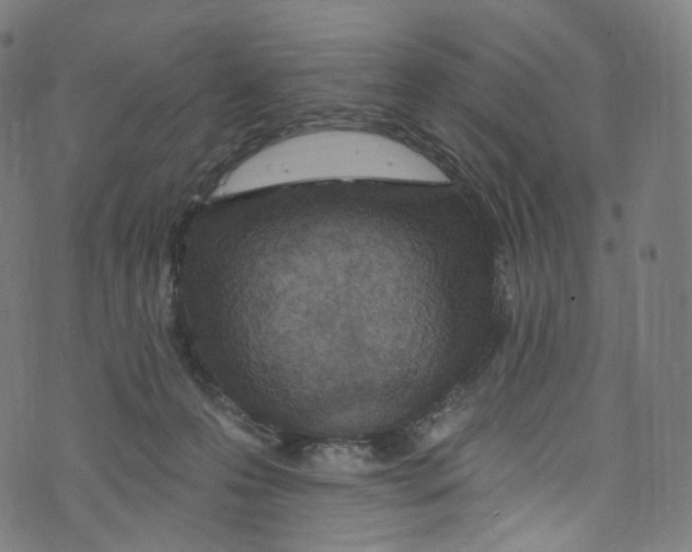 X0000072990223200608211524