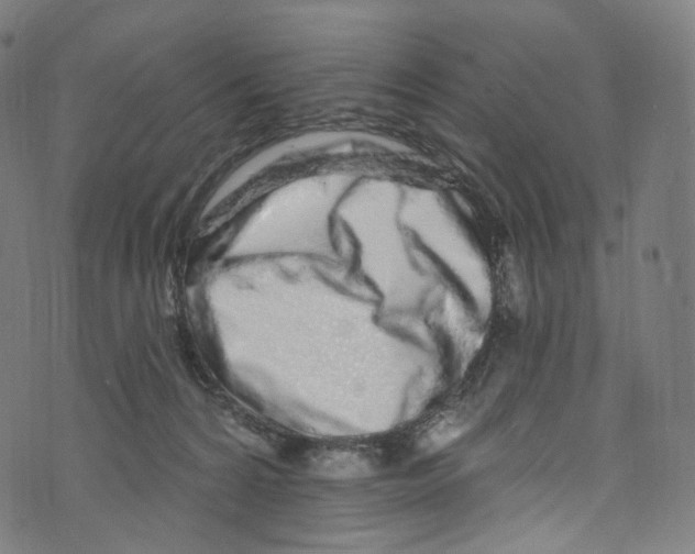 X0000072990224200608211524