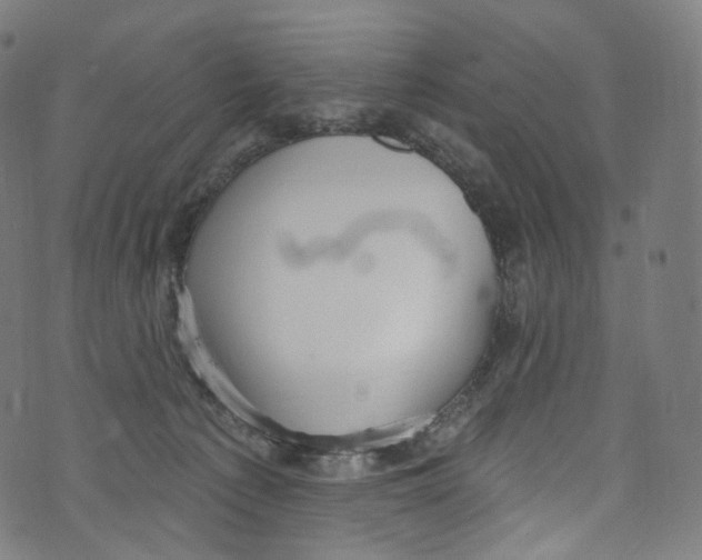 X0000072990225200608211524