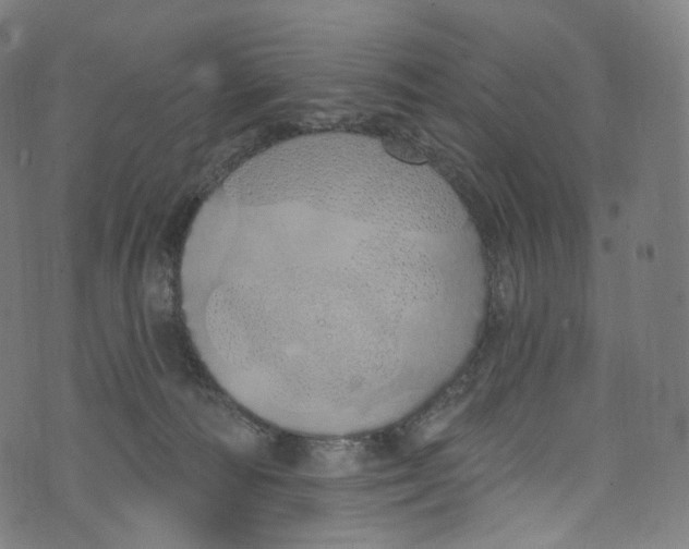 X0000072990226200608211524