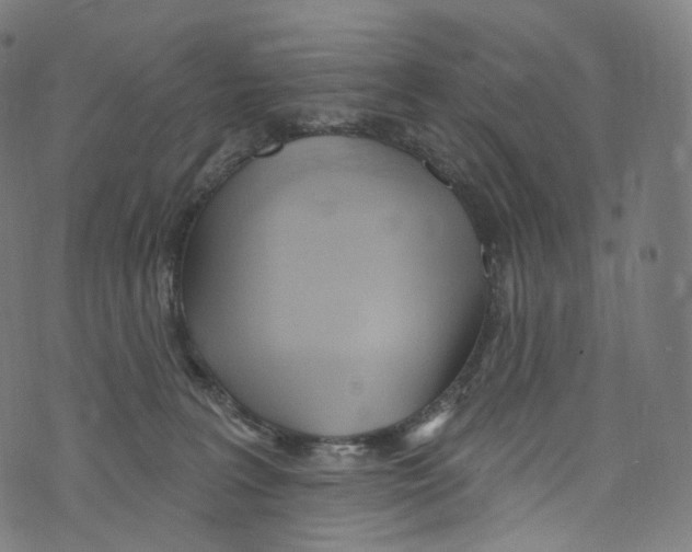 X0000072990227200608211524