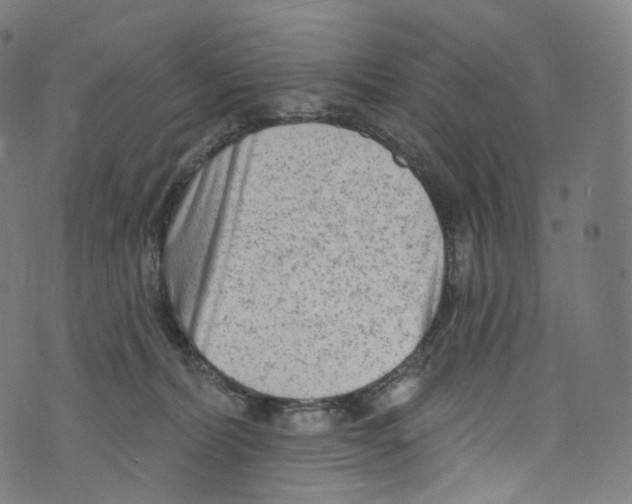 X0000072990228200608211524