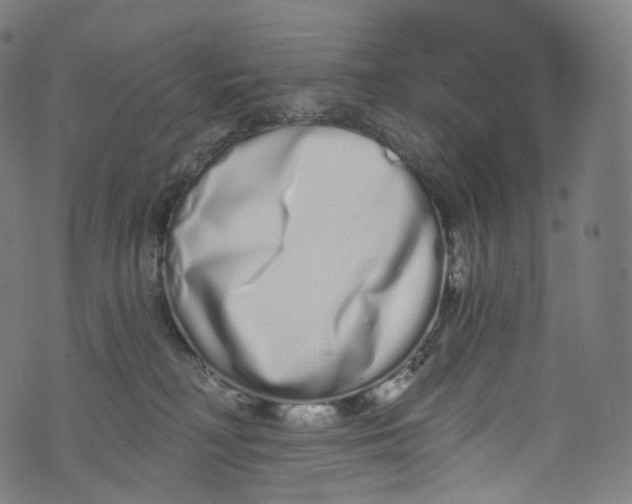 X0000072990230200608211524