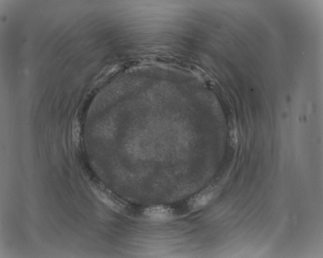 X0000072990231200608211524