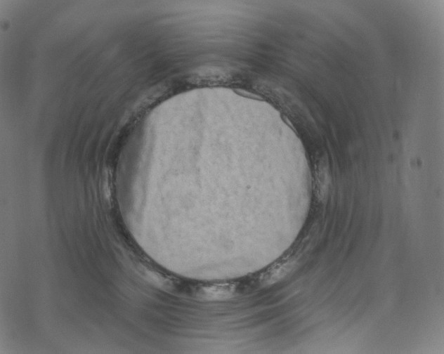 X0000072990232200608211524