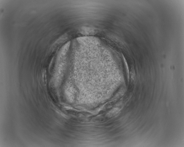 X0000072990233200608211524