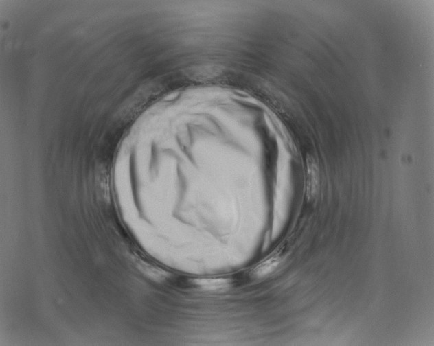 X0000072990234200608211524