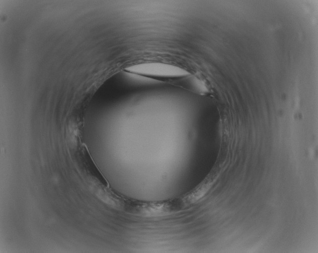 X0000072990235200608211524