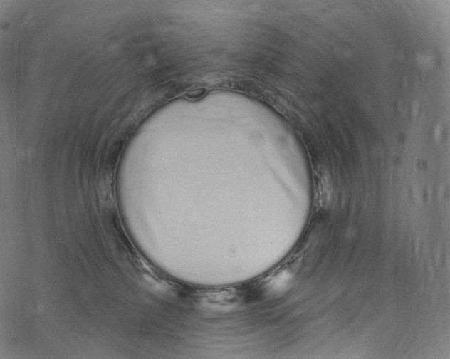 X0000072990236200608211524