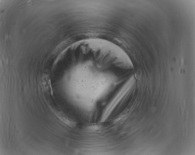 X0000072990237200608211524