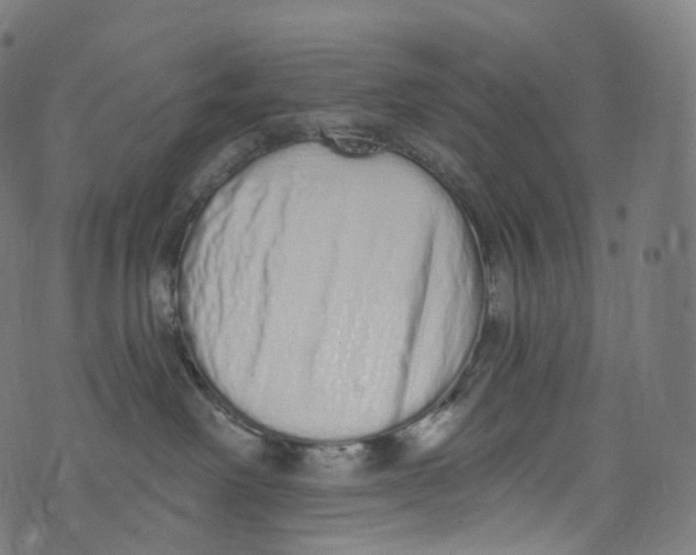 X0000072990238200608211524