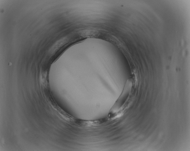 X0000072990239200608211524