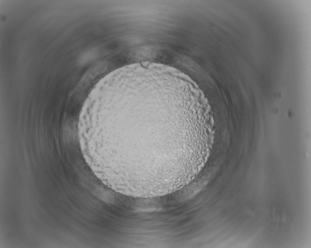 X0000072990240200608211523