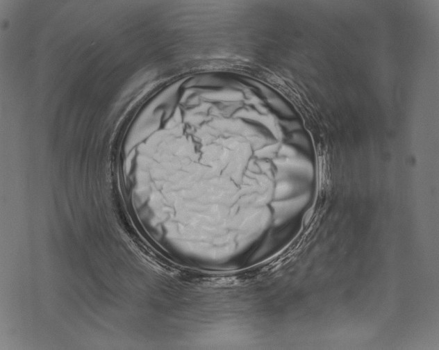 X0000072990243200608211523