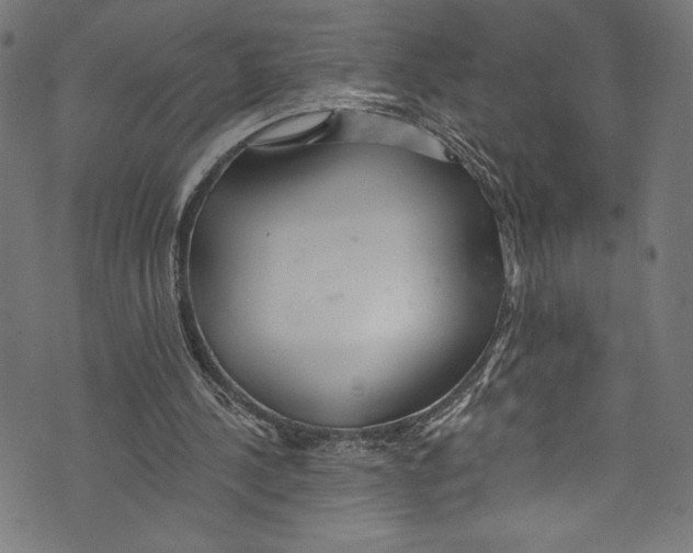 X0000072990244200608211523