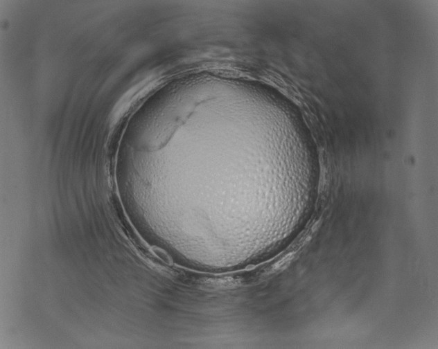 X0000072990245200608211523