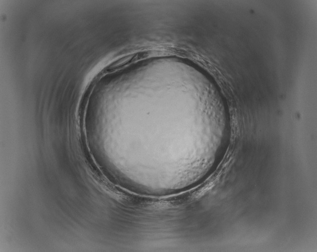 X0000072990246200608211523