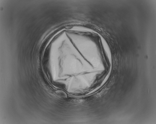 X0000072990247200608211523