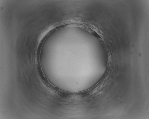 X0000072990248200608211523