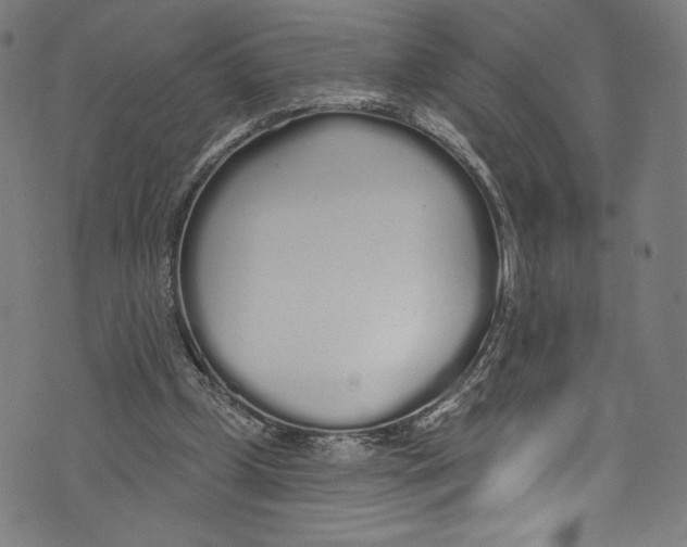 X0000072990249200608211523