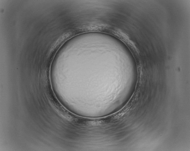 X0000072990250200608211523