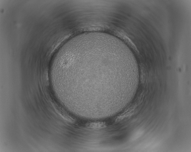 X0000072990251200608211523