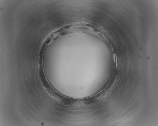 X0000072990252200608211523