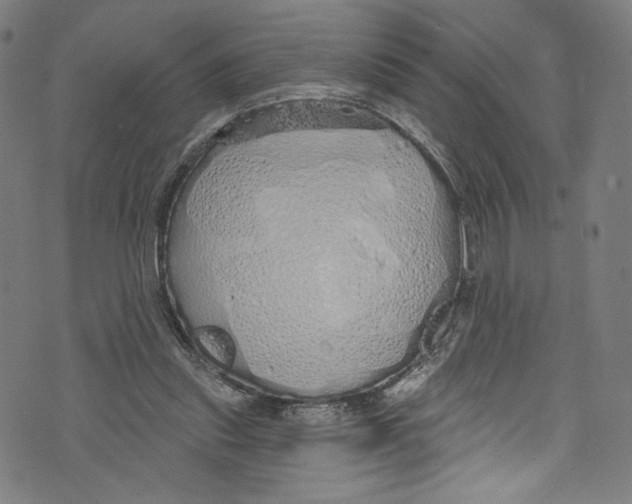 X0000072990253200608211523