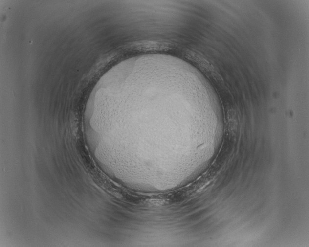 X0000072990255200608211523