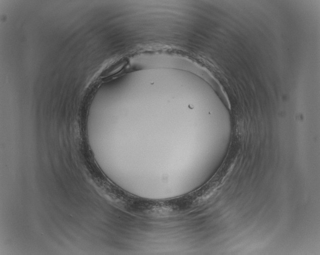 X0000072990256200608211523