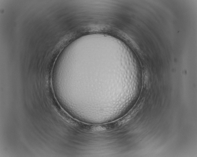 X0000072990257200608211523