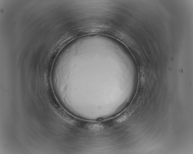 X0000072990258200608211523