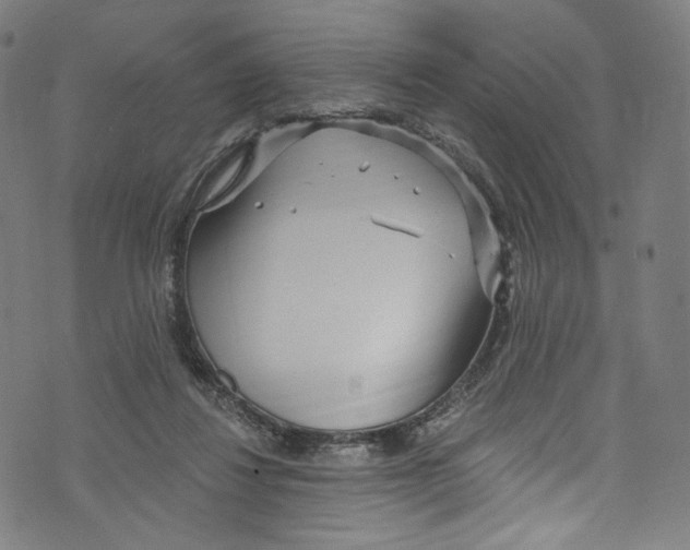 X0000072990260200608211523