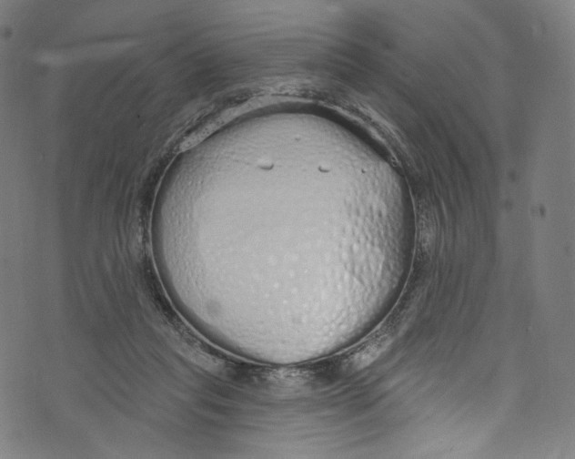 X0000072990261200608211523