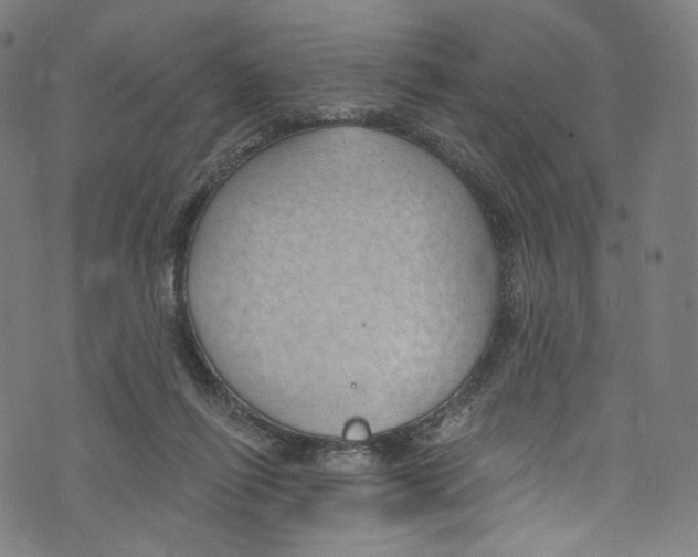 X0000072990262200608211523