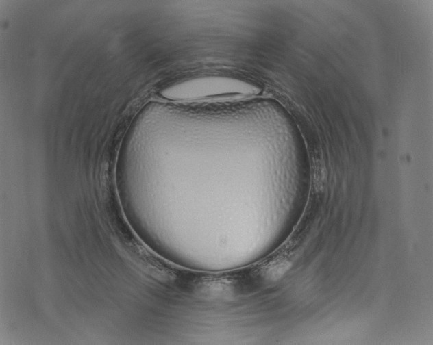 X0000072990263200608211523