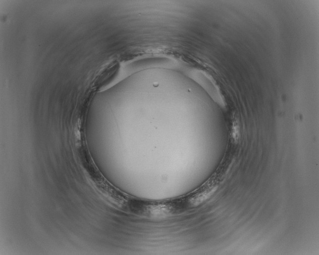 X0000072990264200608211523