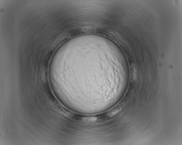 X0000072990266200608211523