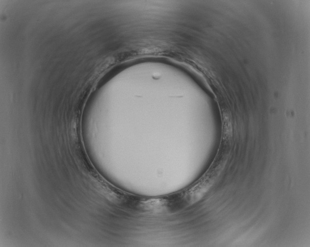 X0000072990269200608211523