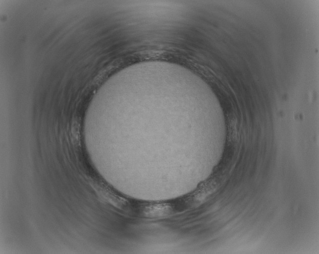 X0000072990274200608211523