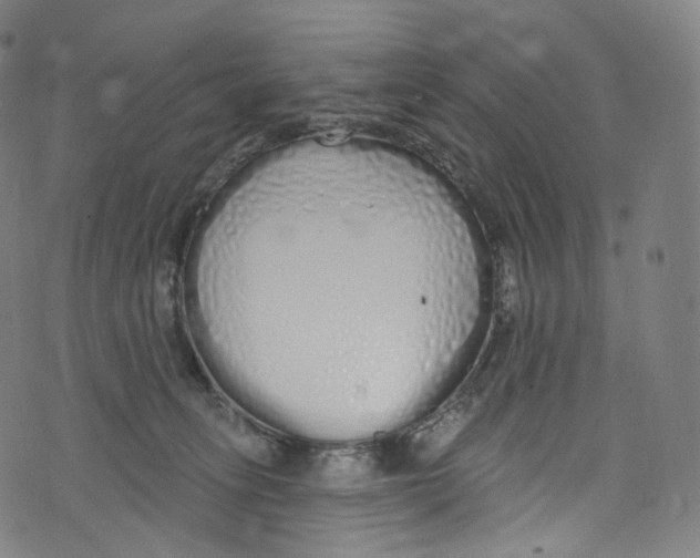 X0000072990275200608211523