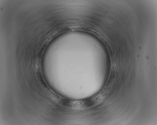 X0000072990277200608211523