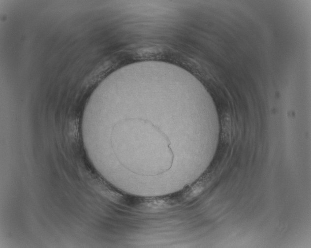 X0000072990278200608211523