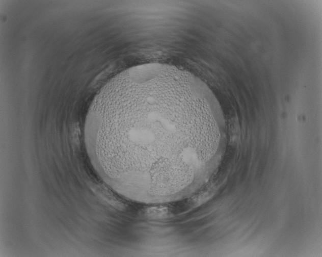 X0000072990279200608211523