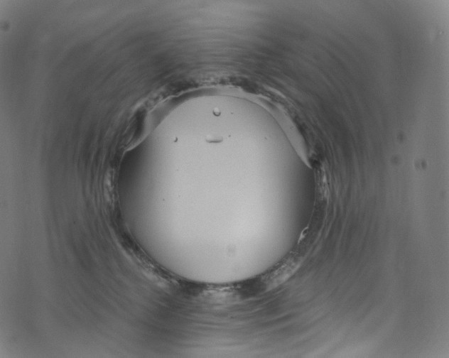 X0000072990280200608211523